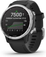 Garmin Fenix 6X Pro, Premium Multisport GPS Watch, Features Mapping, Music, Grade-Adjusted Pace Monitoring and Pulse Ox Sensors, Black with Black Band AU ™ - Image 36